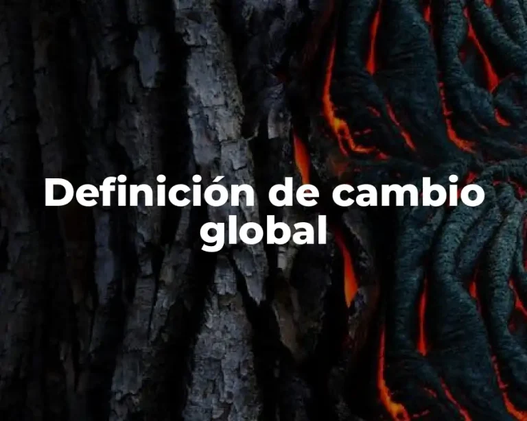 Definición de cambio global