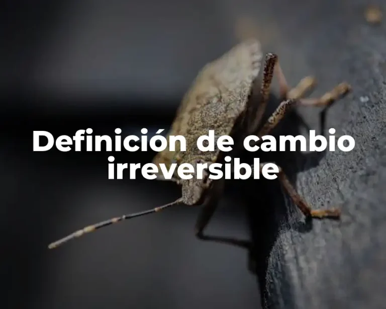 Definición de cambio irreversible