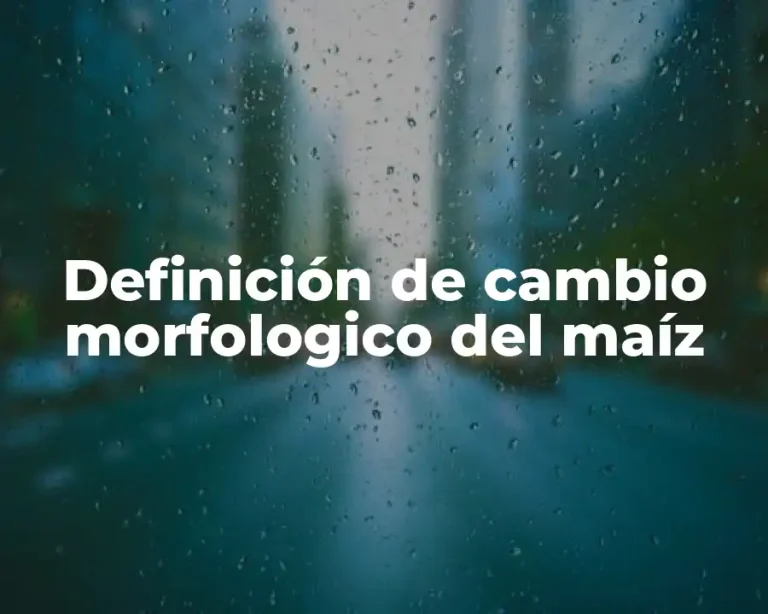 Definición de cambio morfologico del maíz