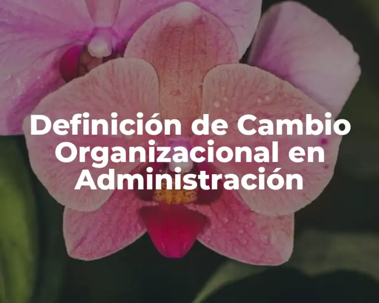 Definición de Cambio Organizacional en Administración