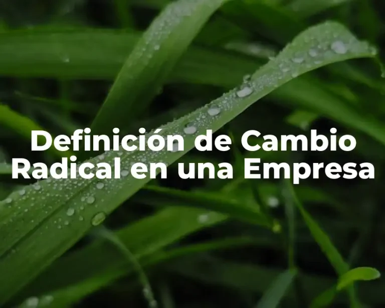 Definición de Cambio Radical en una Empresa