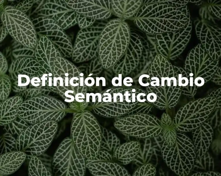Definición de Cambio Semántico