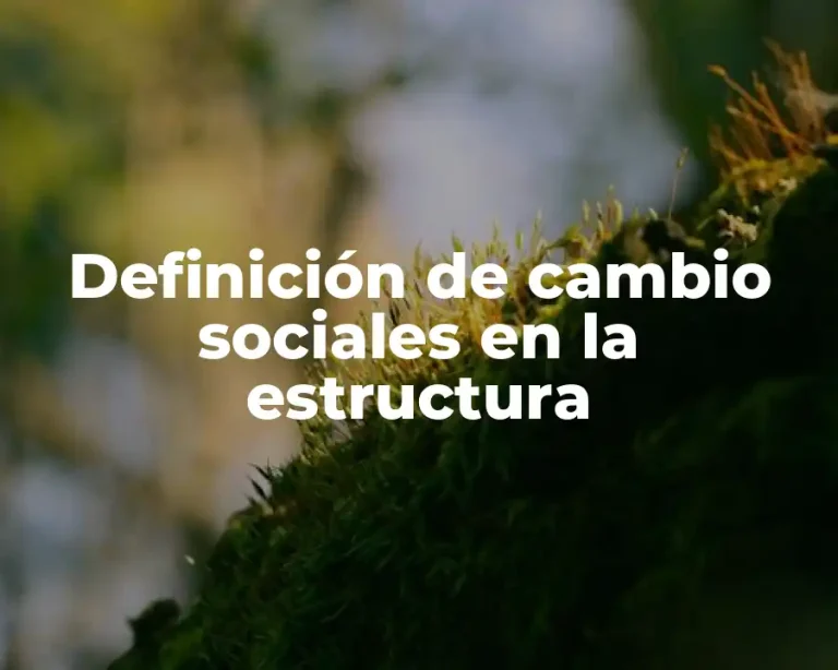 Definición de cambio sociales en la estructura