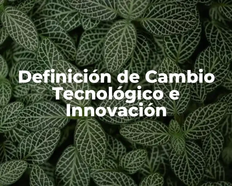 Definición de Cambio Tecnológico e Innovación