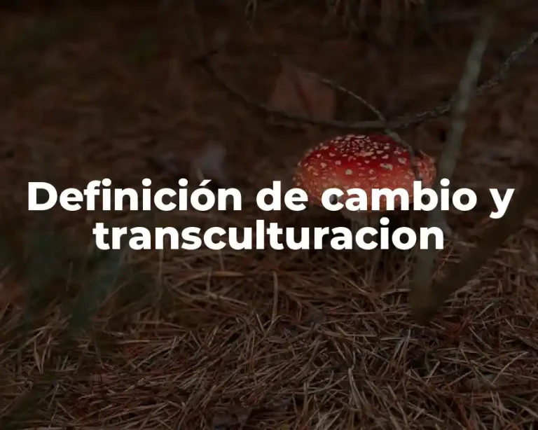 Definición de cambio y transculturacion