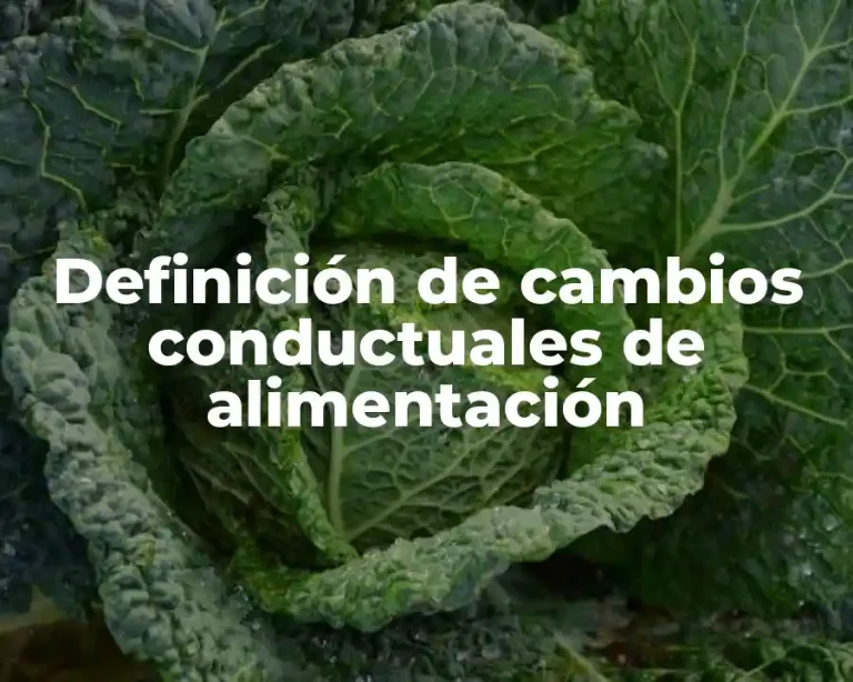 Definición de cambios conductuales de alimentación