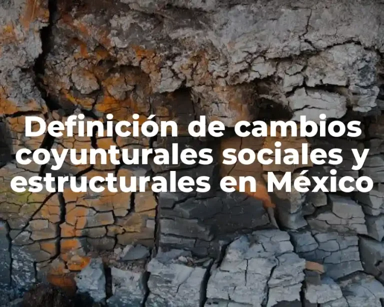 Definición de cambios coyunturales sociales y estructurales en México