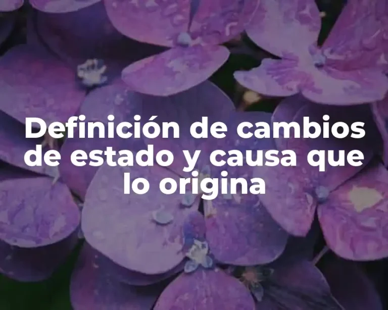 Definición de cambios de estado y causa que lo origina