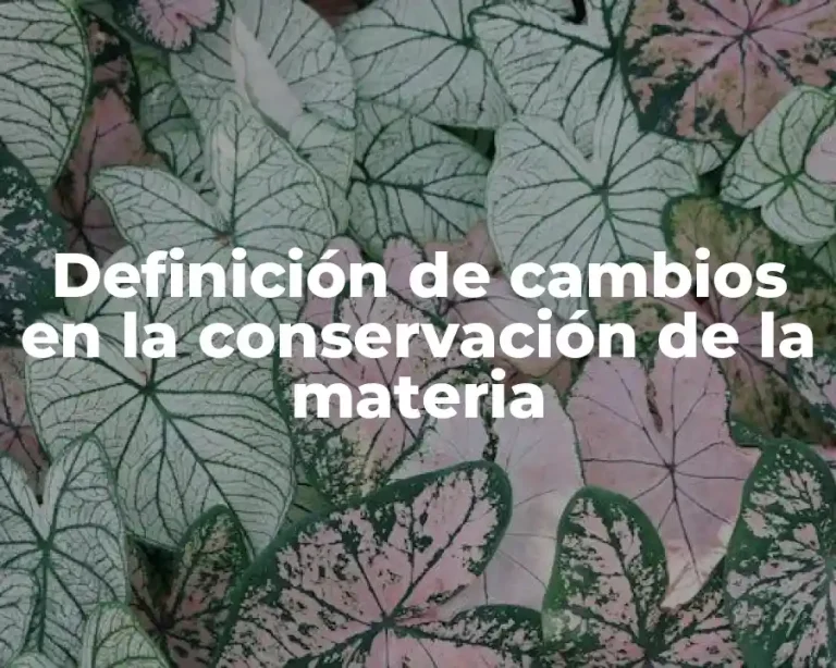 Definición de cambios en la conservación de la materia