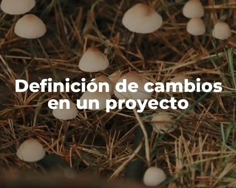 Definición de cambios en un proyecto