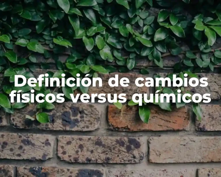 Definición de cambios físicos versus químicos