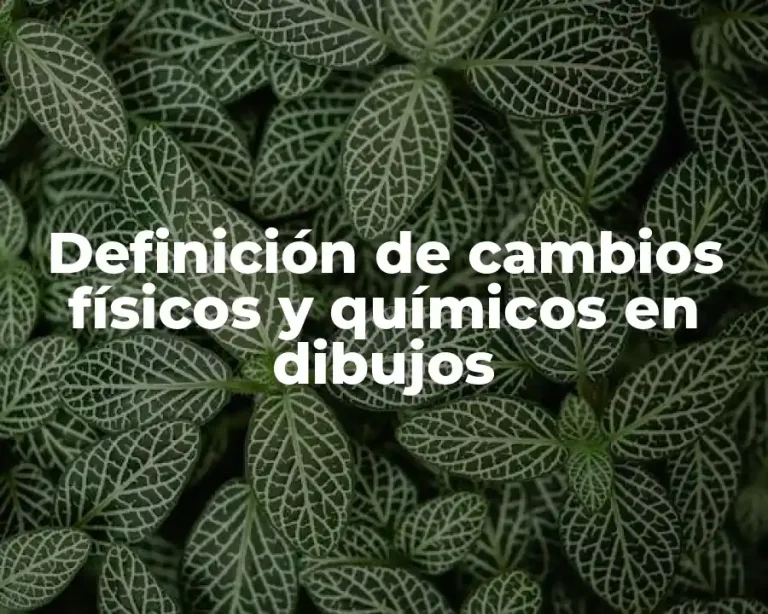 Definición de cambios físicos y químicos en dibujos
