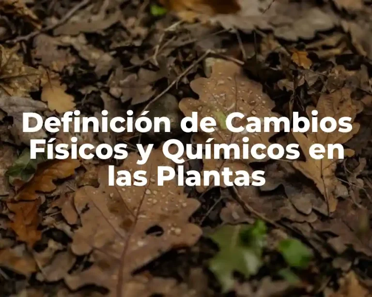 Definición de Cambios Físicos y Químicos en las Plantas