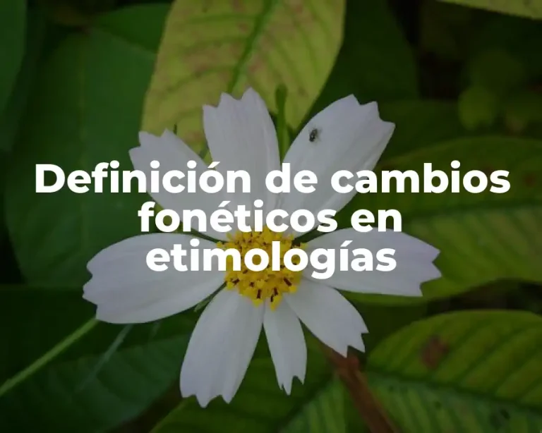 Definición de cambios fonéticos en etimologías