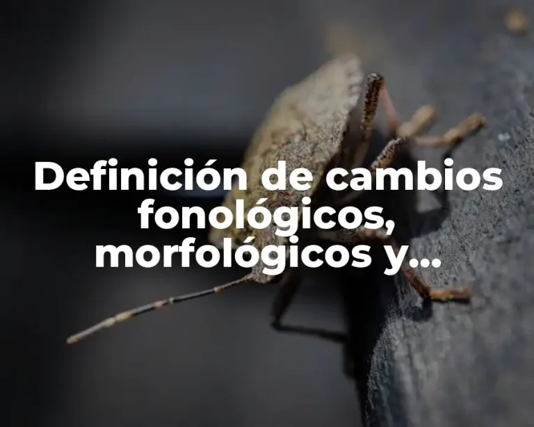 Definición de cambios fonológicos, morfológicos y semánticos