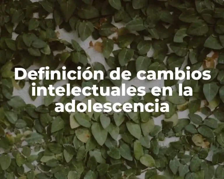 Definición de cambios intelectuales en la adolescencia