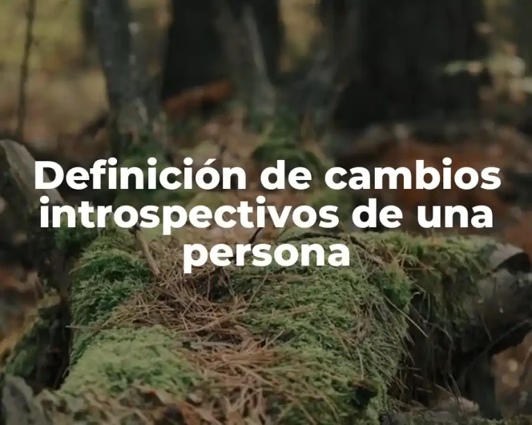 Definición de cambios introspectivos de una persona