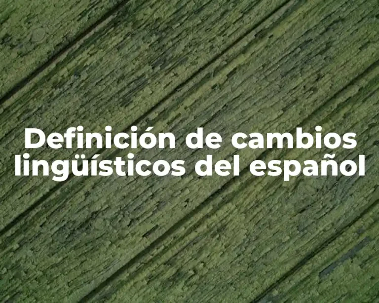 Definición de cambios lingüísticos del español