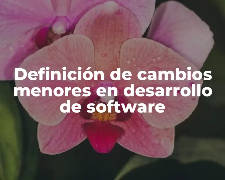 Definición de cambios menores en desarrollo de software