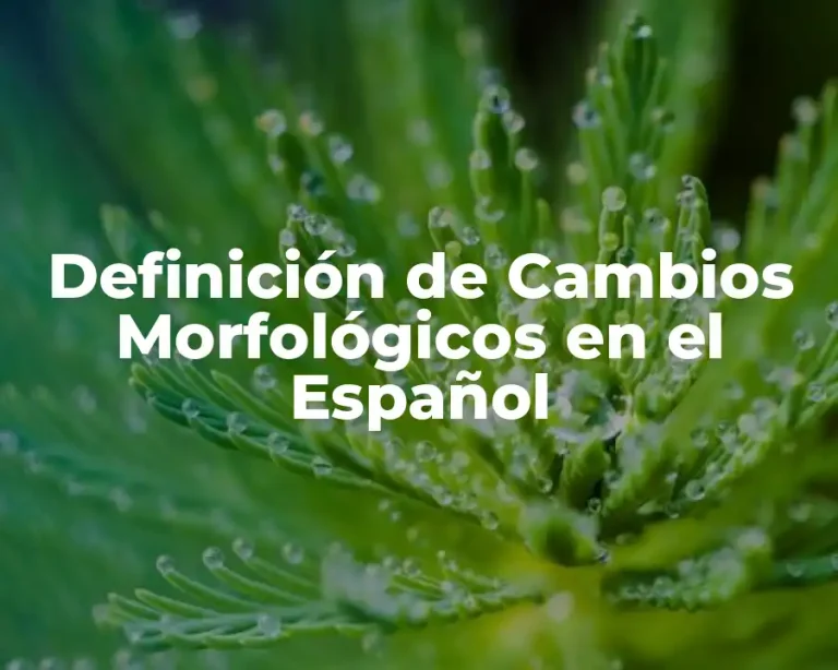 Definición de Cambios Morfológicos en el Español