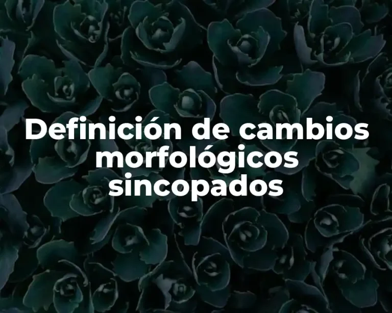 Definición de cambios morfológicos sincopados
