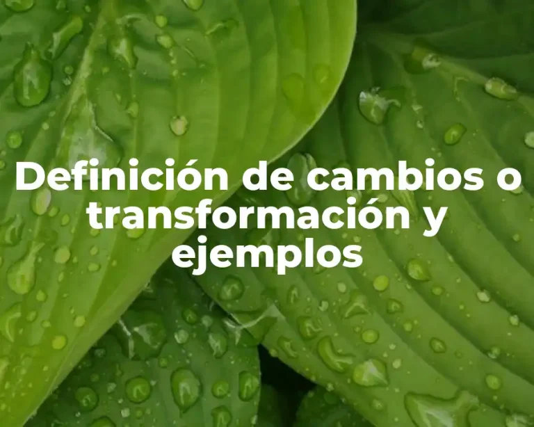 Definición de cambios o transformación y ejemplos