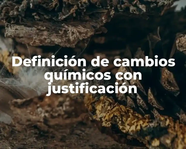Definición de cambios químicos con justificación