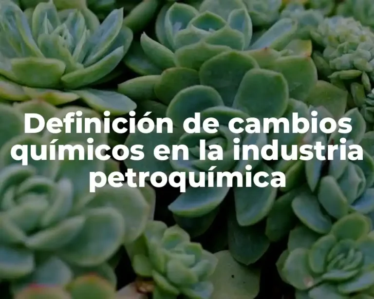 Definición de cambios químicos en la industria petroquímica