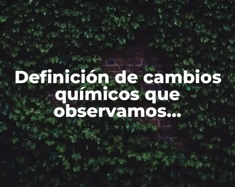 Definición de cambios químicos que observamos cotidianamente
