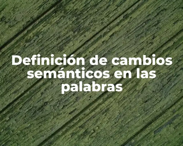 Definición de cambios semánticos en las palabras