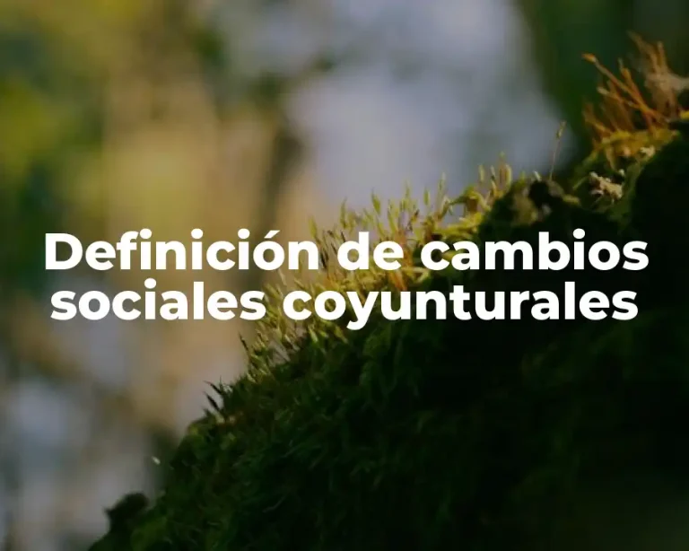 Definición de cambios sociales coyunturales