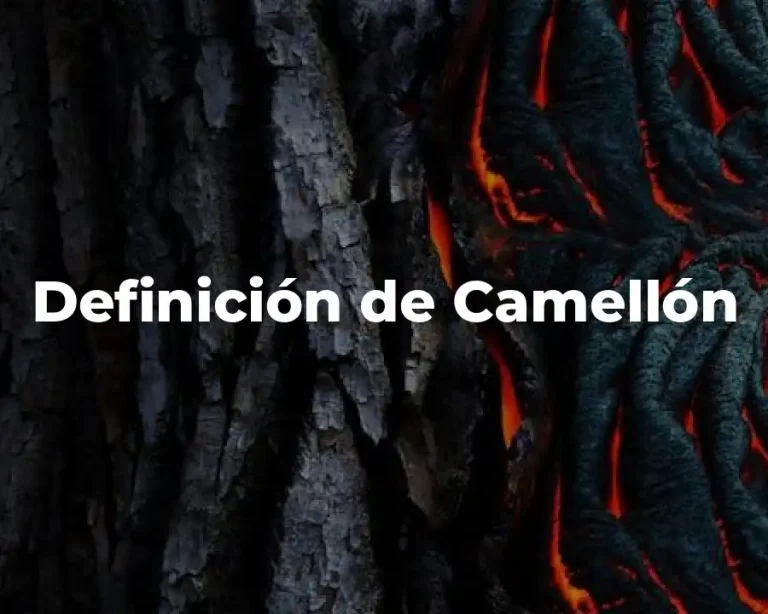Definición de Camellón