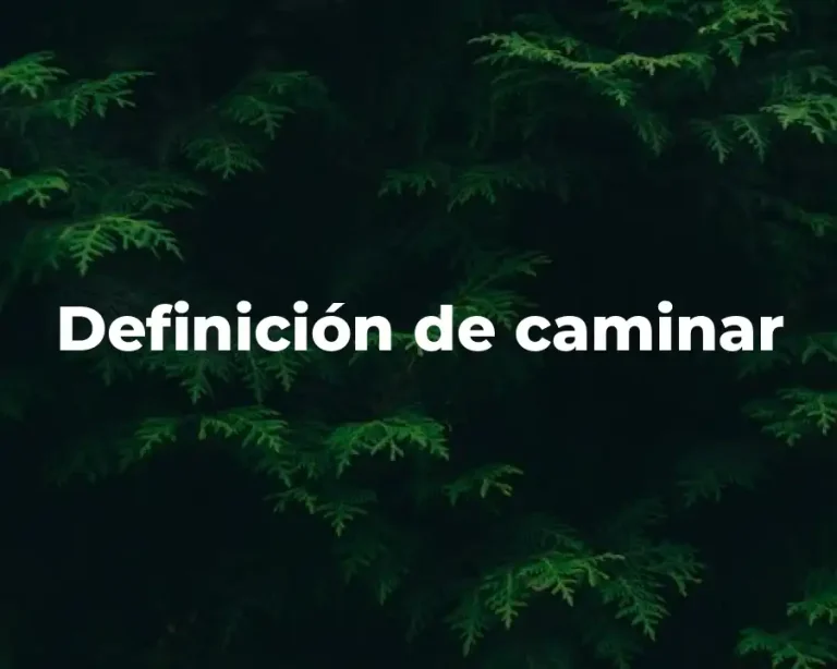 Definición de caminar