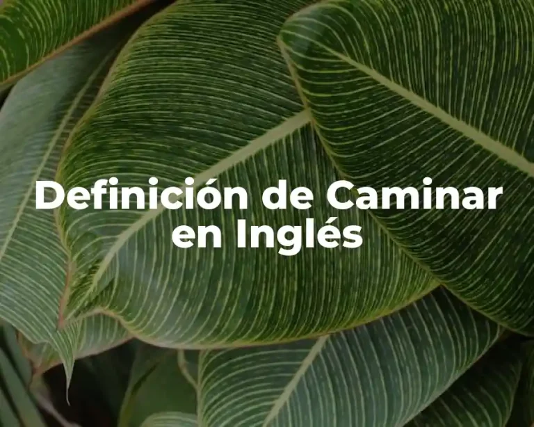 Definición de Caminar en Inglés