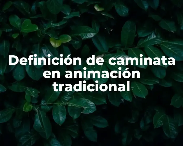 Definición de caminata en animación tradicional