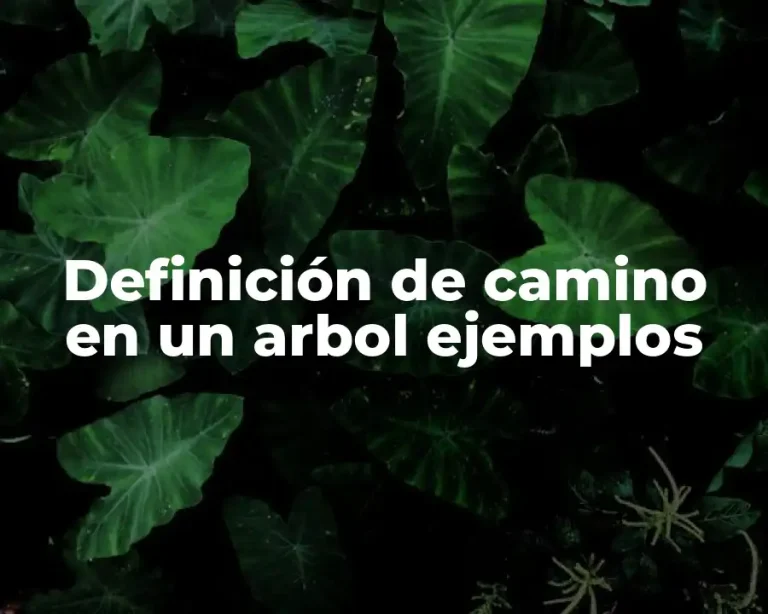 Definición de camino en un arbol ejemplos