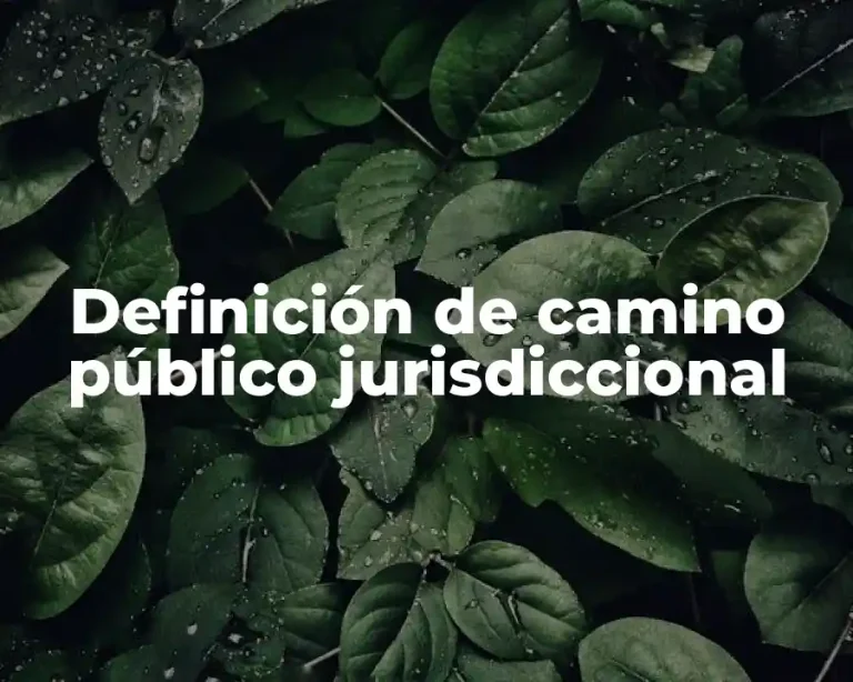 Definición de camino público jurisdiccional