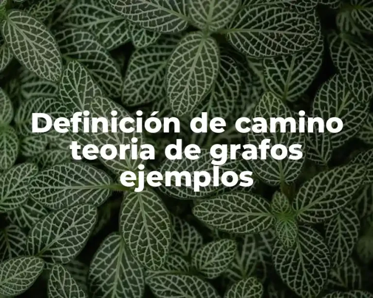 Definición de camino teoria de grafos ejemplos