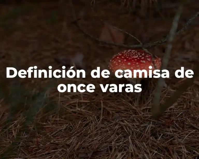 Definición de camisa de once varas