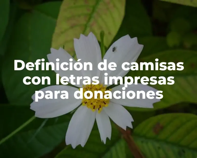 Definición de camisas con letras impresas para donaciones