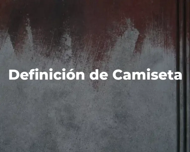 Definición de Camiseta