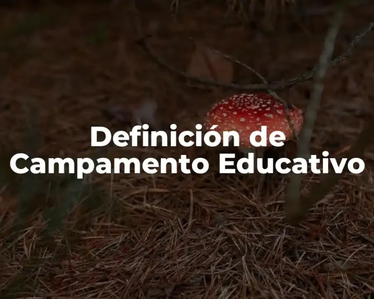 Definición de Campamento Educativo