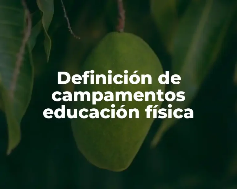 Definición de campamentos educación física