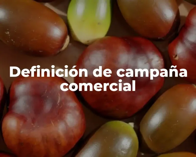 Definición de campaña comercial