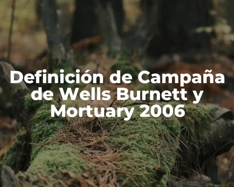 Definición de Campaña de Wells Burnett y Mortuary 2006