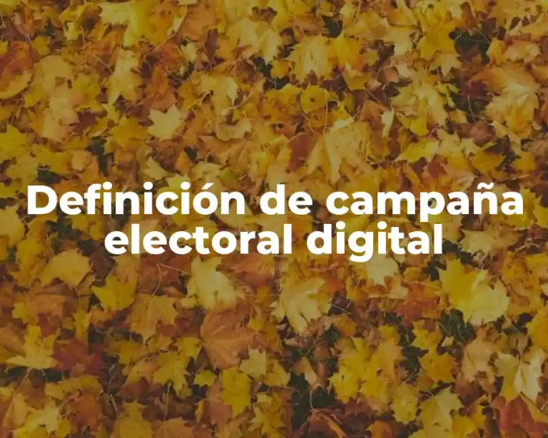 Definición de campaña electoral digital