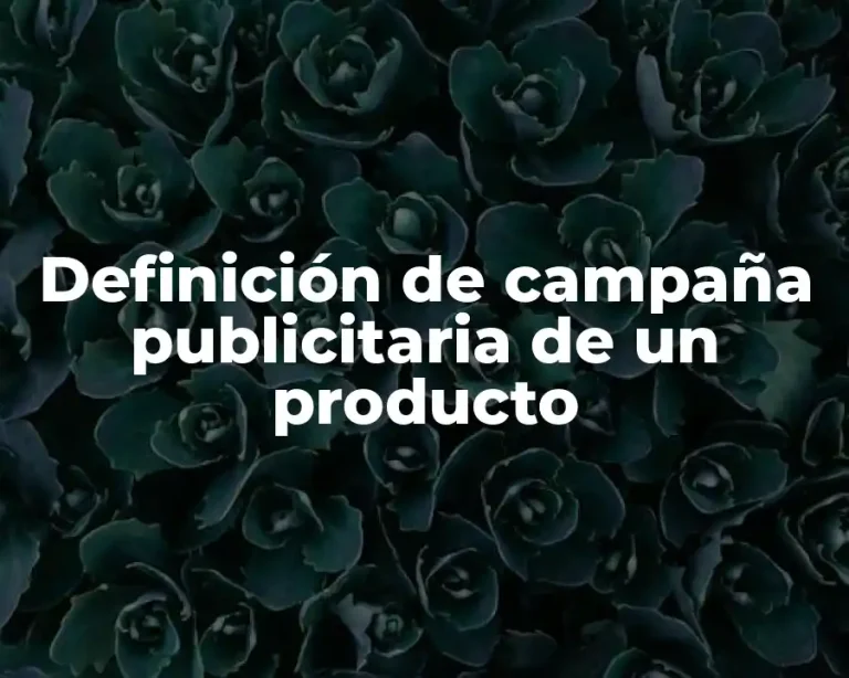 Definición de campaña publicitaria de un producto