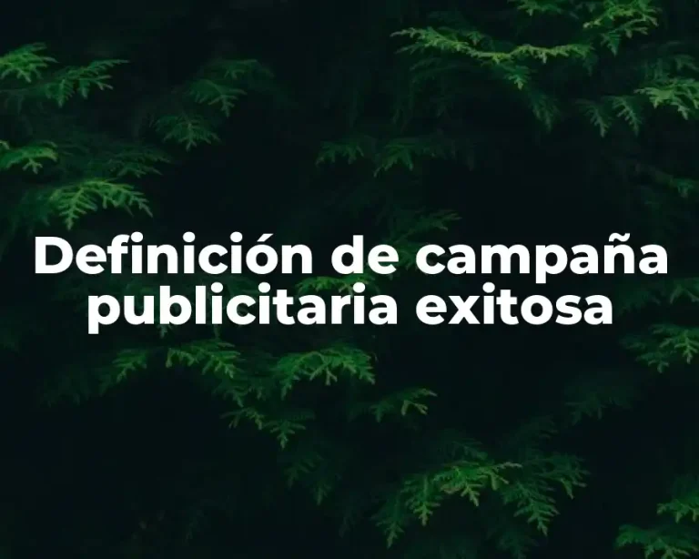Definición de campaña publicitaria exitosa