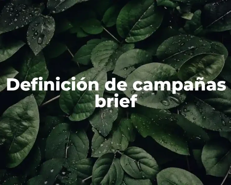 Definición de campañas brief