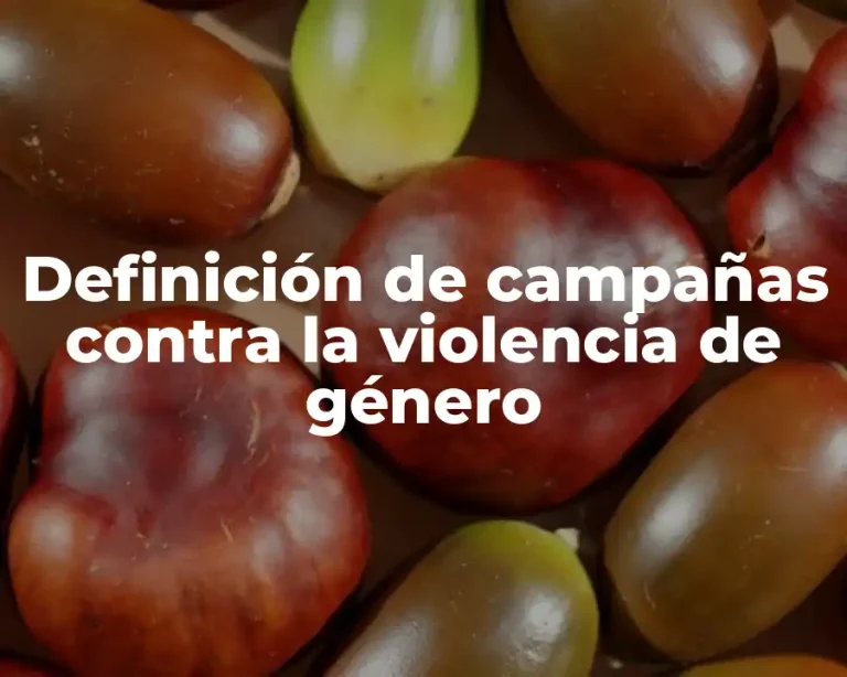 Definición de campañas contra la violencia de género